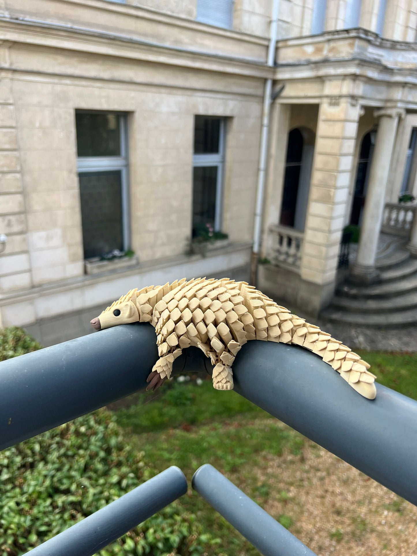 Pangolin articulé