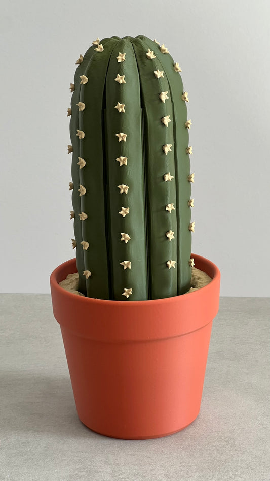 Jeu d'échec trompe l'oeil